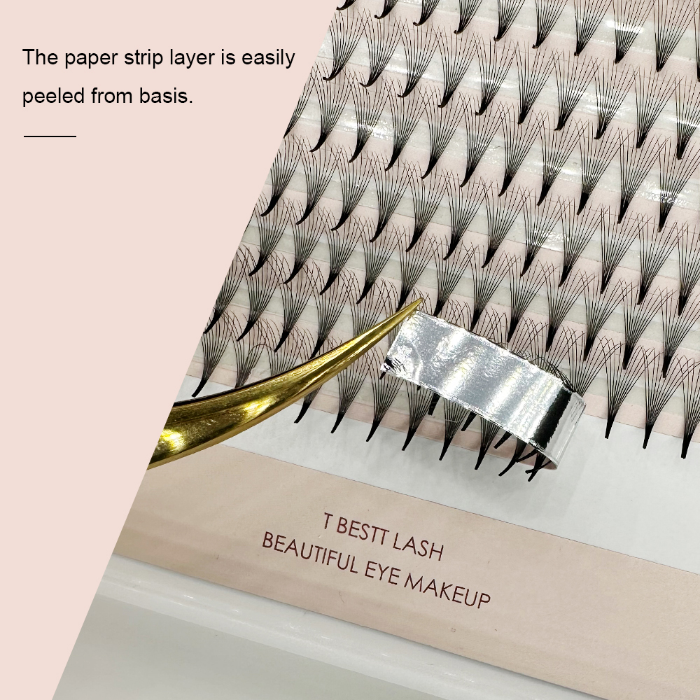 TBestt 5D/6D/8D/10D Premade Fa - огляд і ціна Eyelash Extension Human Hair